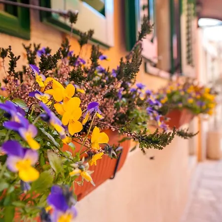 Sotto I Volti Centro Storico Penzion Rovinj