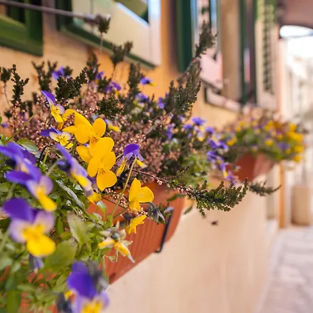 招待所 Sotto I Volti Centro Storico 3*