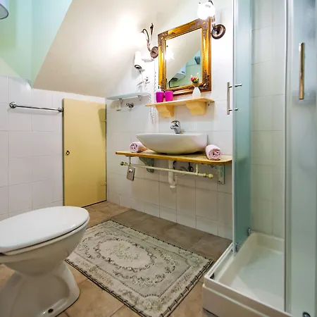 招待所 Sotto I Volti Centro Storico 罗维尼